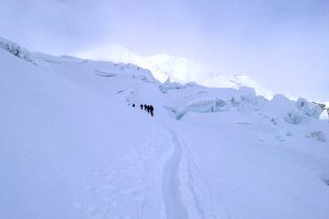 Skitour-Piz-Palü---Aufstieg-durch-die-Spaltenzonen-am-Pers-Gletscher