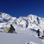 Skitour-Piz-Palü---Blick-zum-Piz-Bernina-mit-Biancograt