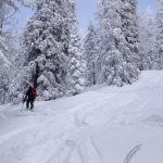 Skitour-für-Einsteiger-in-den-Chiemgauer---Am-Spitzstein