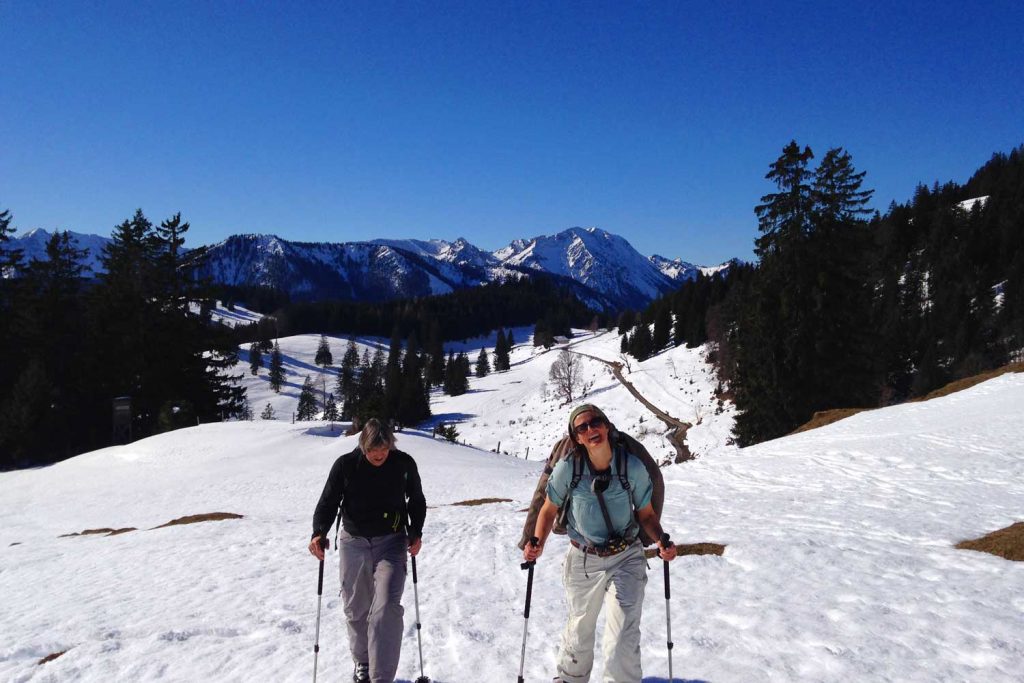 Skitourenkurs für Einsteiger - Wildalpjoch