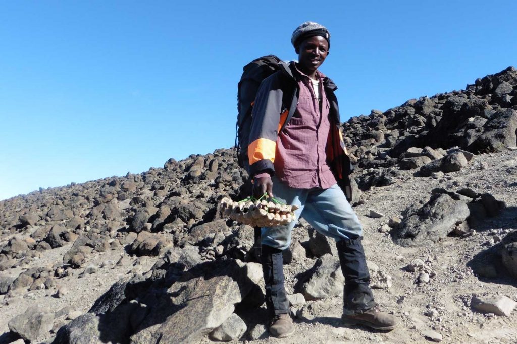 Kilimanjaro---Lemosho-Route---Alpine-Wüste---mit-zerbrechlicher-Fracht