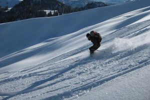 Tiefschneekurs-für-Einsteiger - Skifahrer im Tiefschnee