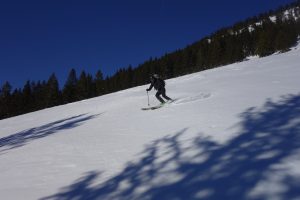 Vorbereitung zur Bergführerausbildung - Skifahren