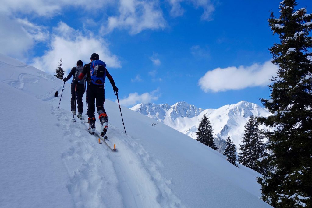 Skitour-in-den-Kitzbüheler-Alpen---Aufstieg-Wildkarspitze