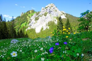 Wandern-von-Füssen-nach-Rosenheim---Ammergauer-Alpen