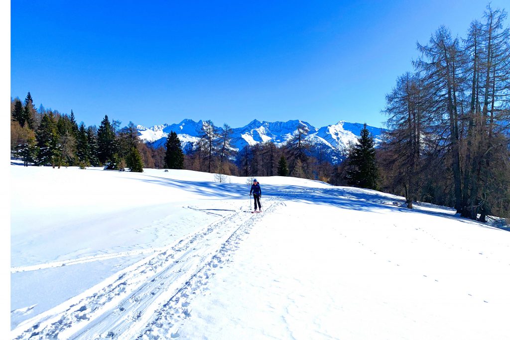 Skitourenkurs-für-Einsteiger-im-Brennergebiet---Im-Aufstieg-bei-Neuschnee