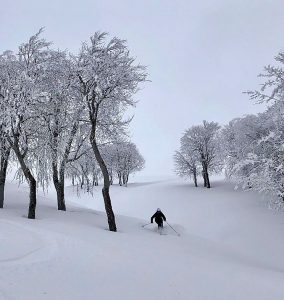 Georgien-CAT-Skiing-am-Goderdzi-Pass---Abfahrtshänge