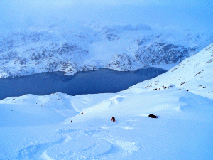 Skitouren-in-Grönland-mit-Bergführer---Powder-Abfahrt