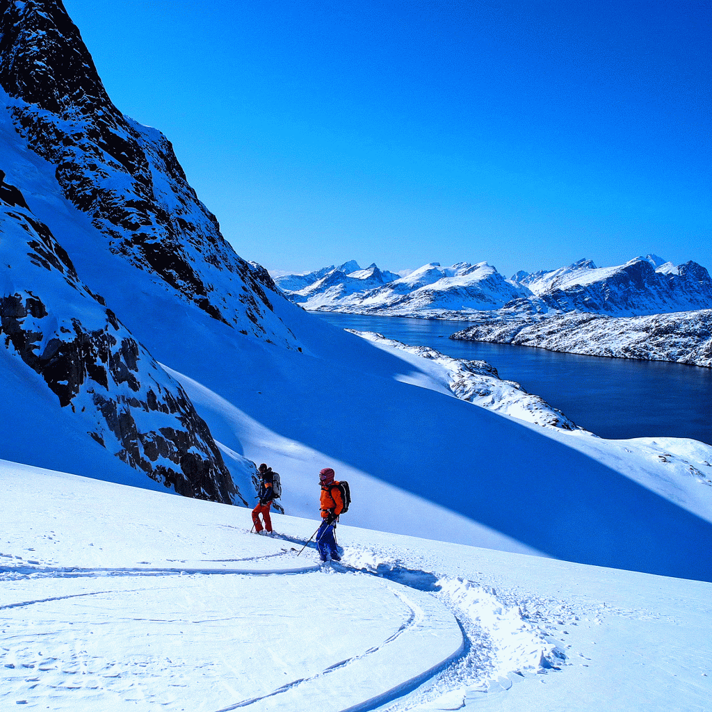 Skitouren-in-Grönland-mit-Bergführer---Skiabfahrt