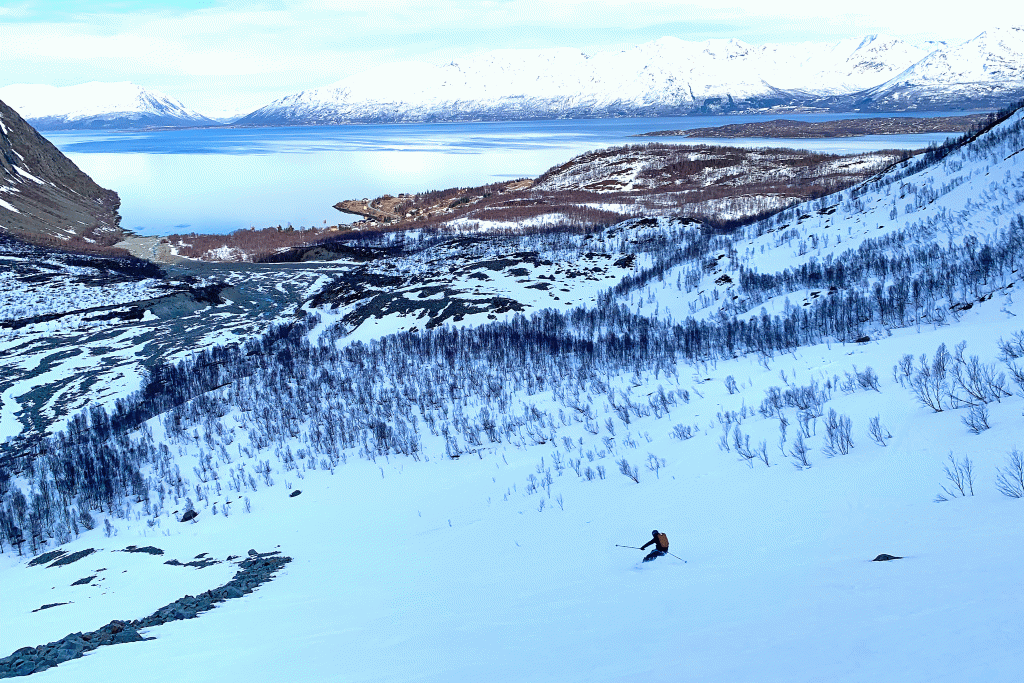 Skitouren-Senja-Norwegen---Abfahrt-zum-Fjord
