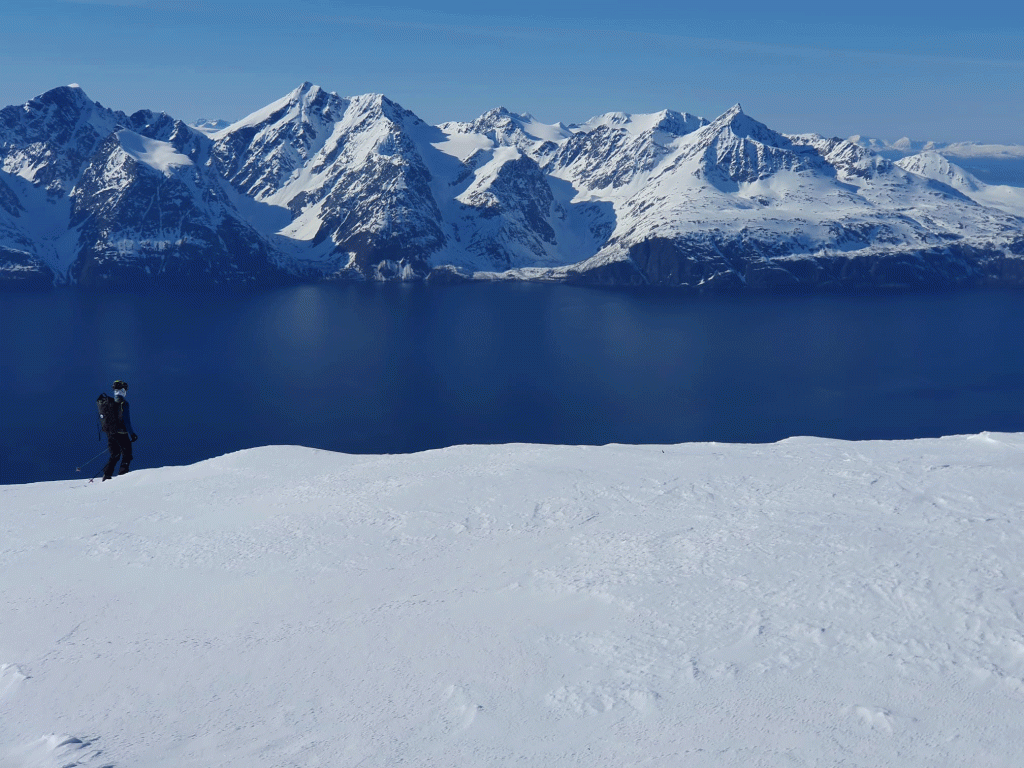 Skitouren-Senja-Norwegen---Blick-in-den-Fjord